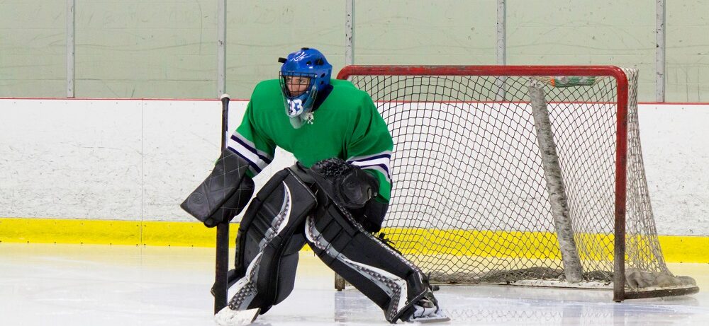 the-best-hockey-sticks-for-defensemen-hockey-castle